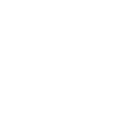 Bailout