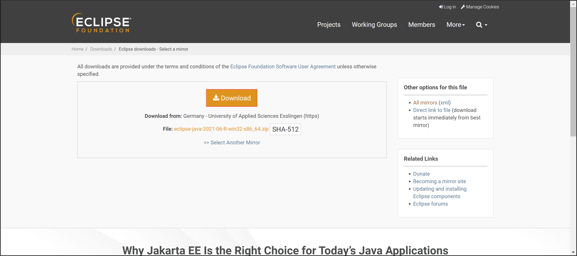 Eclipse Installer Launch