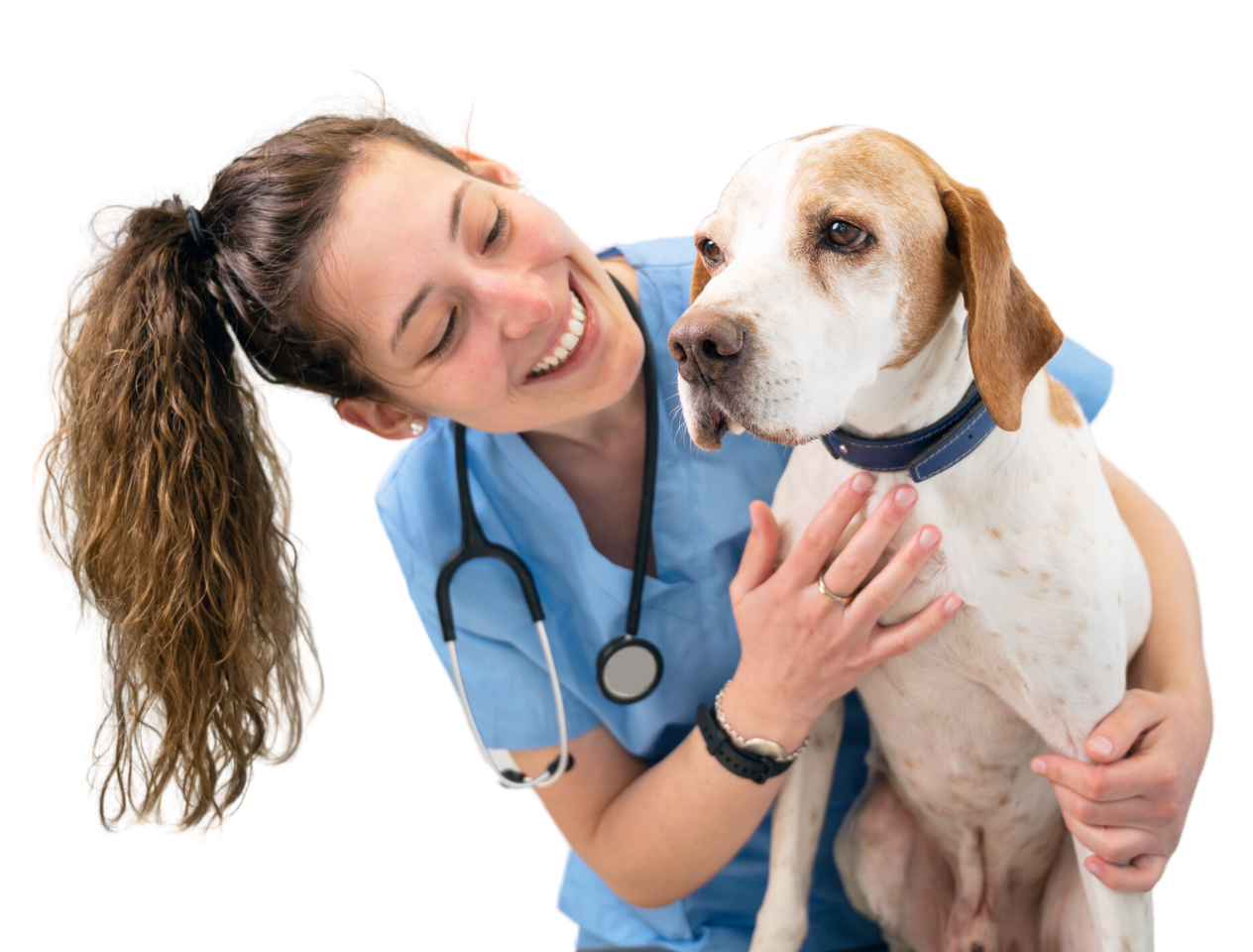 Veterinary Assistant tending to dog
