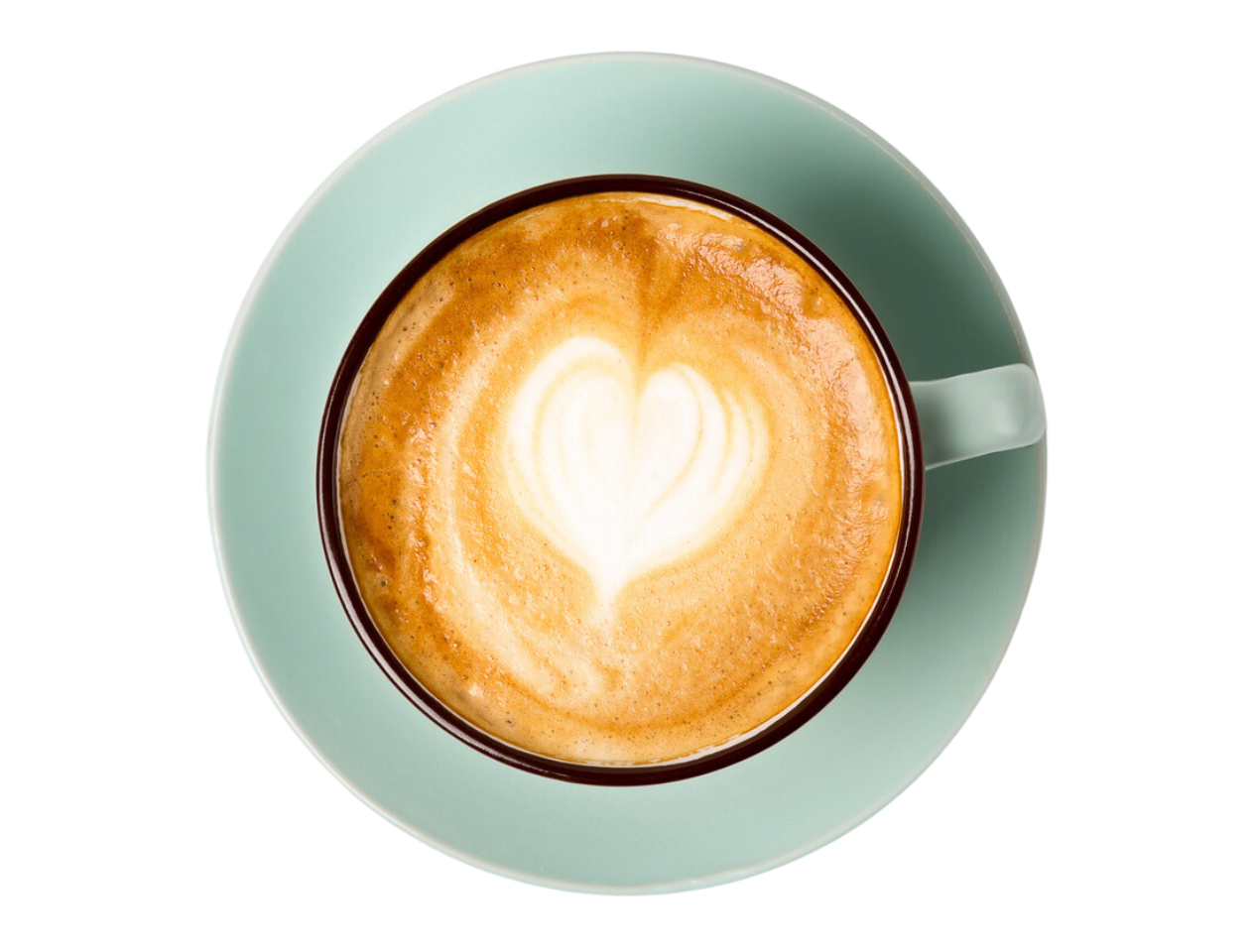 Open Study College hosts Macmillan Coffee Morning