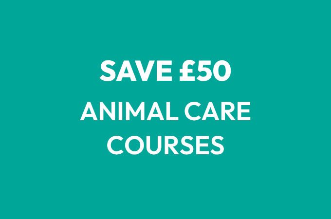 Save £50 off Animal Care Courses