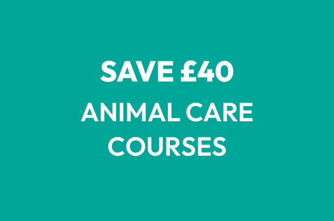 Save £40 off Animal Care Courses