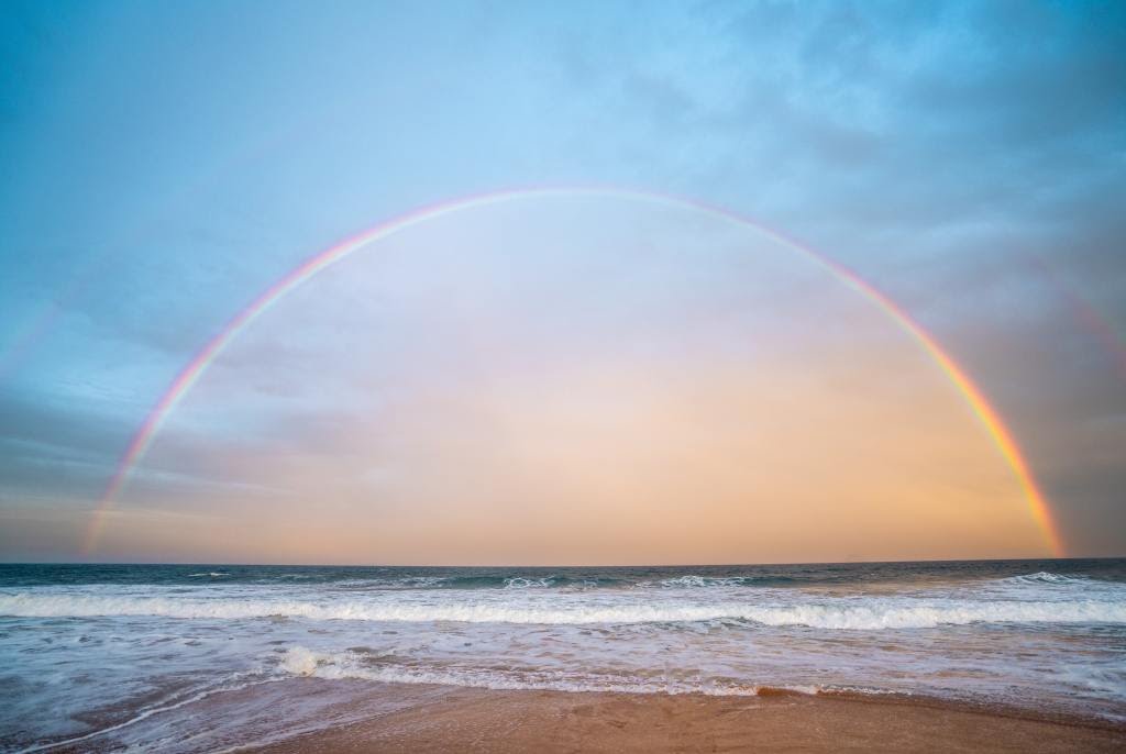 The Rainbow 🌈
