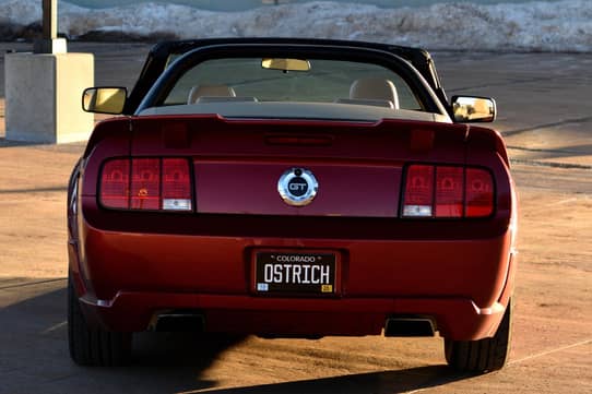 2005 FORD Mustang view 5