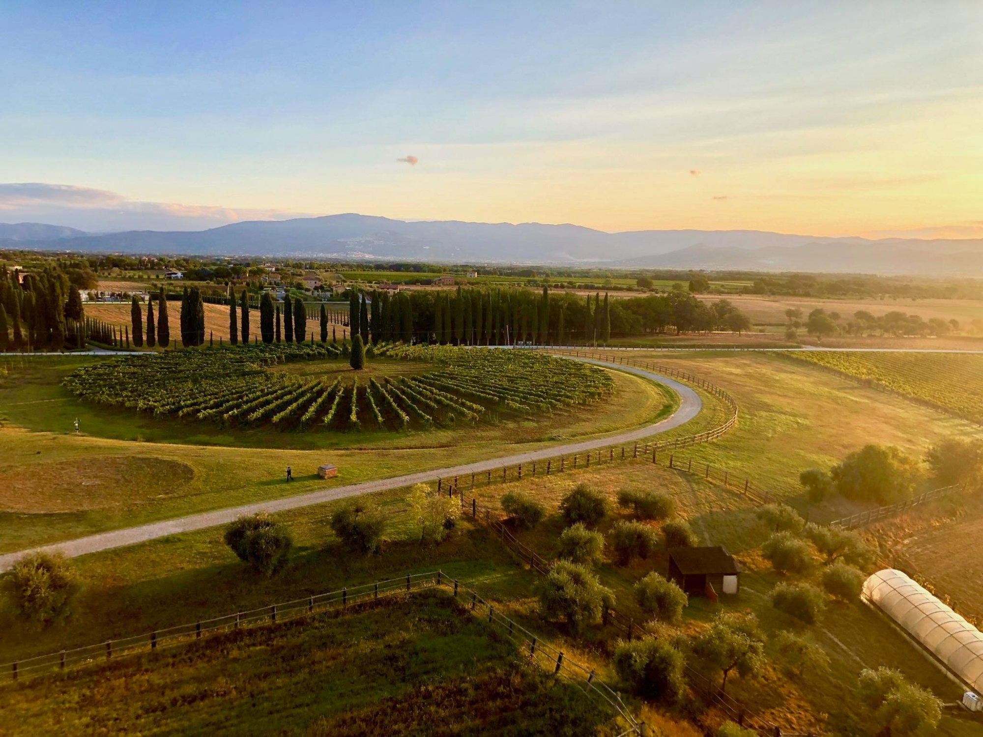 Hot Air Balloon over Tuscany, Avignonesi Winery aerial