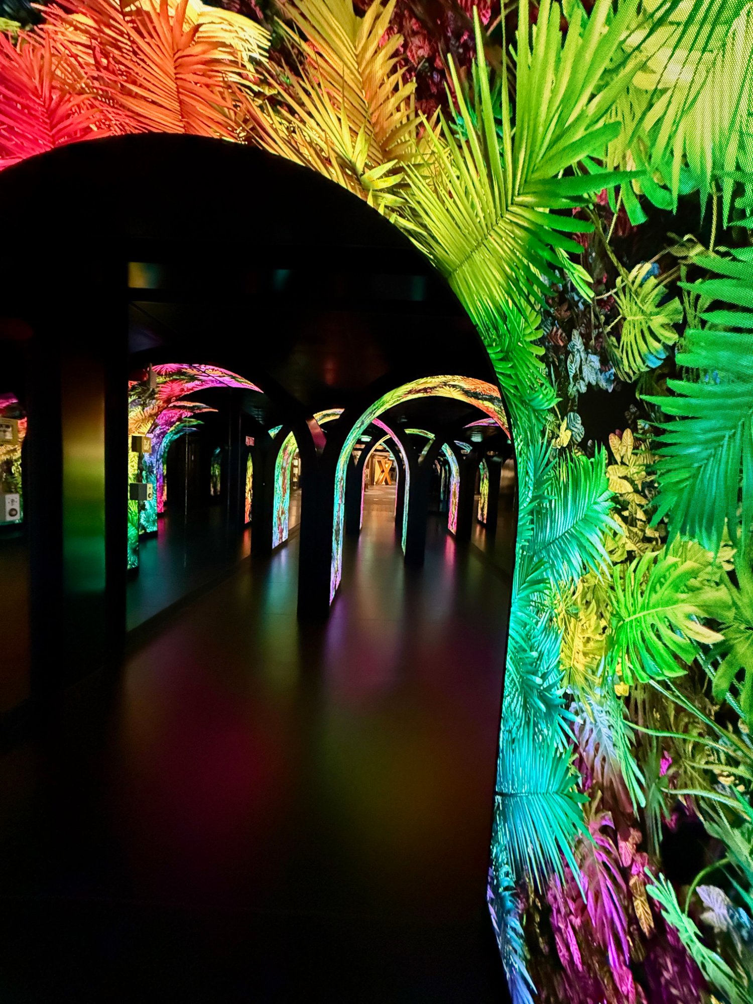 The LED arch entrance tunnel to The Bazaar — Caribbean tropical theme on Celebrity Xcel