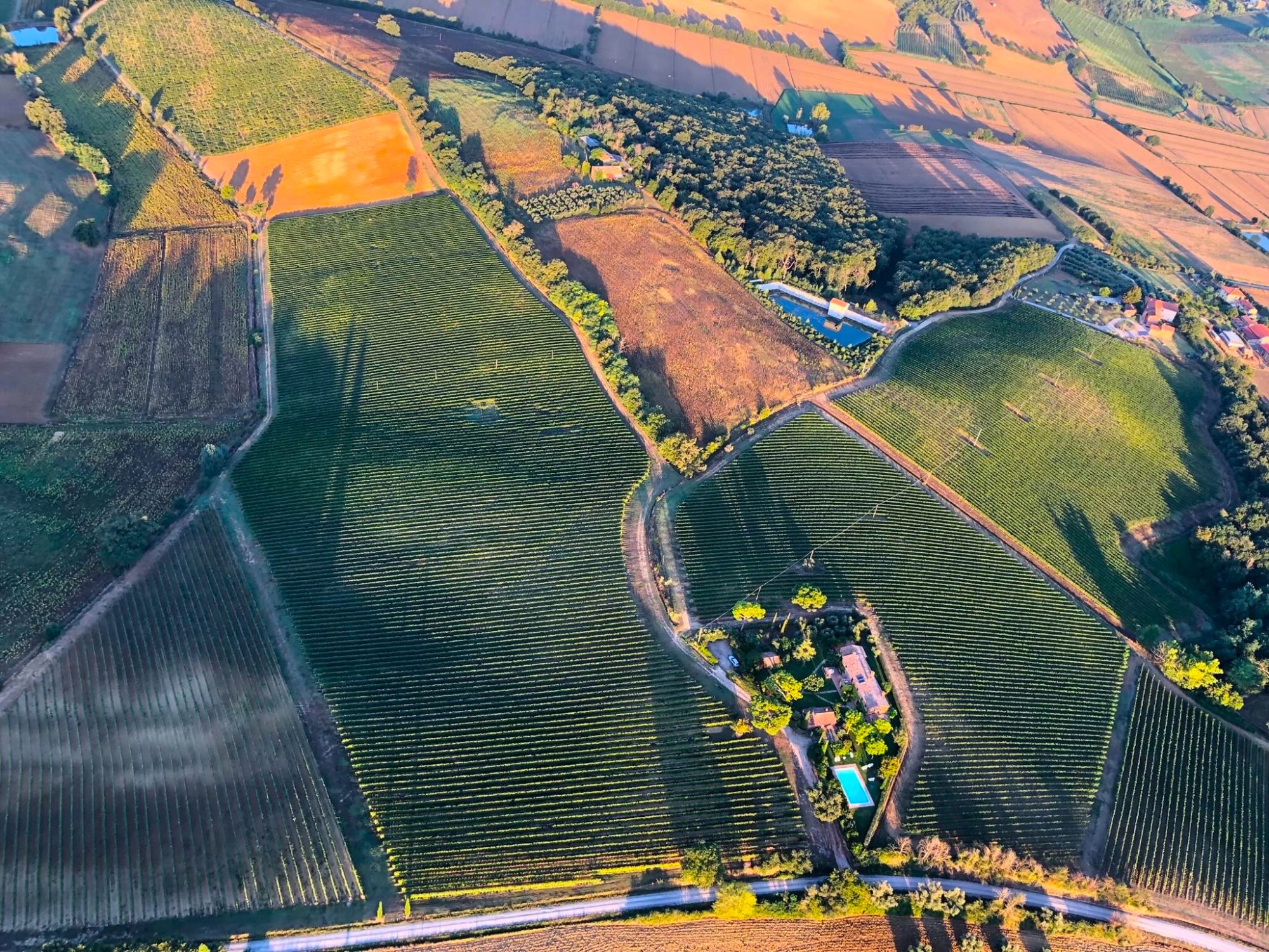 Top-down aerial view of Tuscan vineyard mosaic from hot air balloon