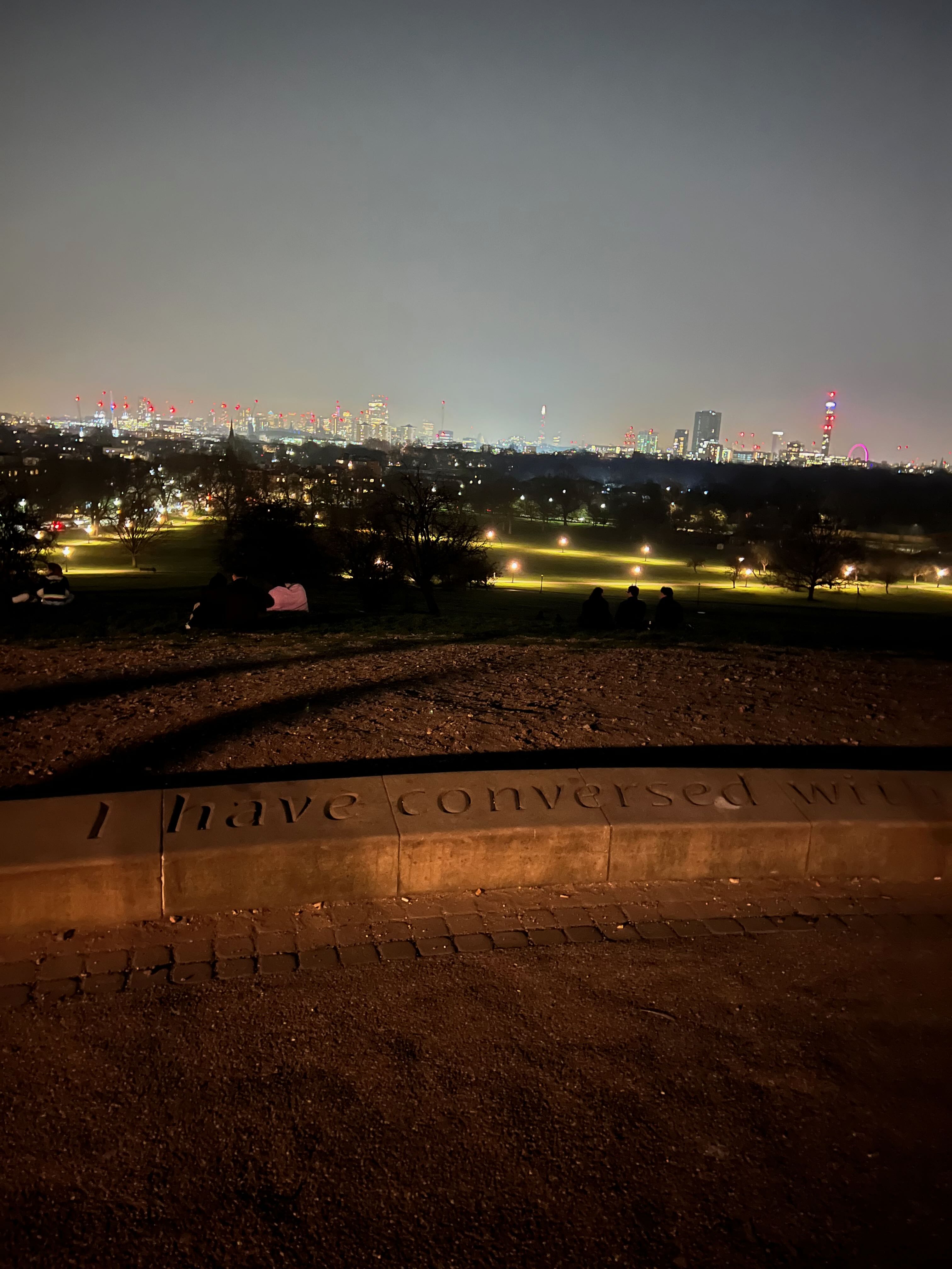 Top of Primrose Hill at night — London city view