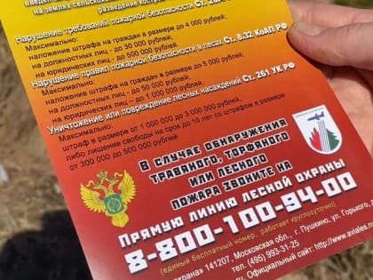 Первые нарушения правил пожарной безопасности в лесах выявили лесные инспекторы на Среднем Урале