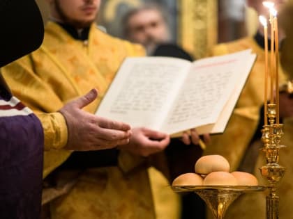 Минюст разрешил проносить вино в СИЗО