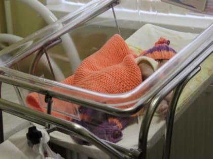 Екатеринбургский перинатальный центр признан лучшим в России