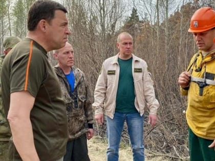 С весны на лето