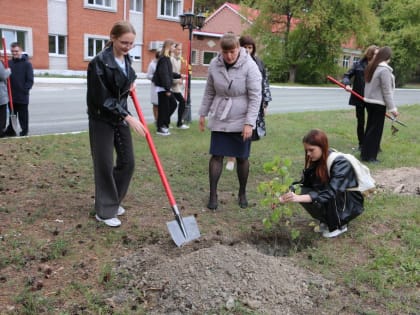 Аллея врача