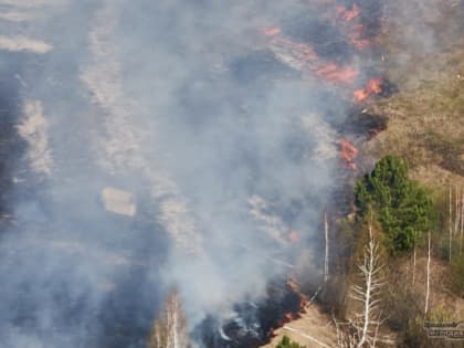 Площадь лесных пожаров на Среднем Урале за сутки сократилась в два раза до 18,5 тысячи га