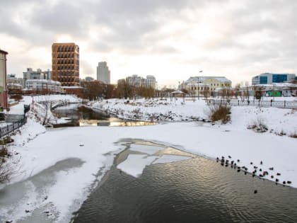 Календарная зима в Екатеринбурге начнётся с плюсовой температуры
