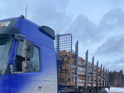 Полицейские Верхней Пышмы провели оперативно-профилактическое мероприятие «Лес»