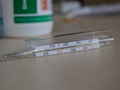 На треть снизилась заболеваемость ОРВИ и гриппом в Челябинской области