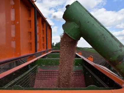 Свердловские аграрии продают тонны льна Польше и Чехии