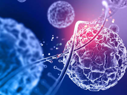 Вирусолог назвал 3 качества инфекции, способной уничтожить человечество