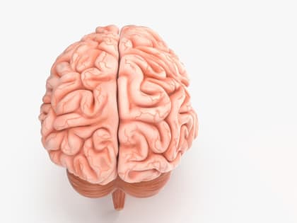 Неделя сохранения здоровья головного мозга