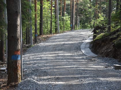 Асфальтировка лыжероллерной трассы запланирована на следующую неделю