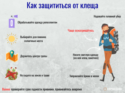 В Ревде зарегистрировали первые укусы клещей. На месяц раньше, чем в прошлом году