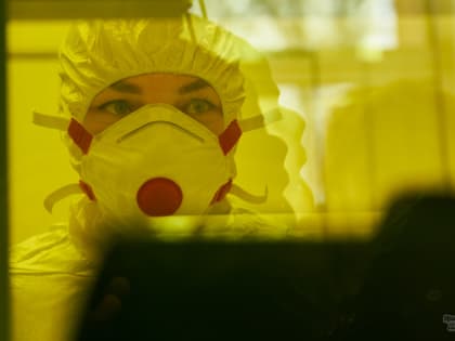 В Нижнем Поволжье исторически регистрируют наибольшее число заражений крымкой