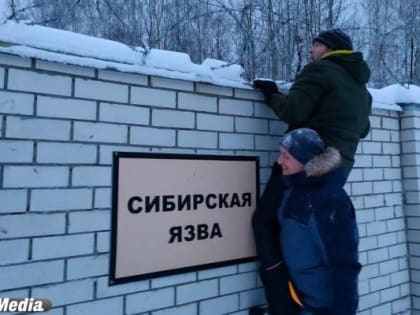 Двое жителей Чувашии заразились сибирской язвой