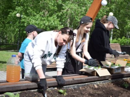 Городские клумбы  обустраивают педагоги,  дети и ветераны