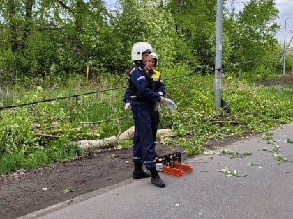 Дерево рухнуло на дорогу из-за штормового ветра в Нижнем Тагиле