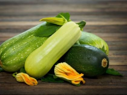 Могут ли навредить кабачки?