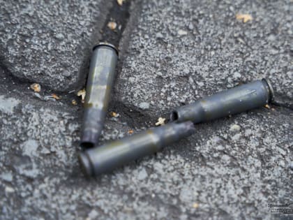 В Свердловской области силовики изъяли почти полкило взрывчатки и 7 единиц оружия