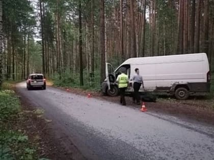 В Первоуральске будут судить мужчину, который раздавил свою пятилетнюю дочь об руль