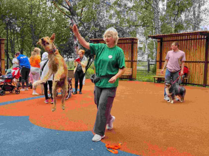 Собака как
друг и как доктор: мероприятие с участием собак-терапевтов прошло для пациентов
Детского хосписа