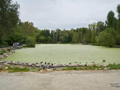 В дендропарке Екатеринбурга работы по благоустройству начнут в 2024 году