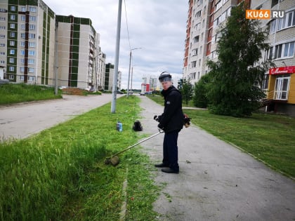 Во дворах домов Каменска-Уральского снова звучит стрекот газонокосилок — у коммунальщиков горячая пора очередного кошения травы