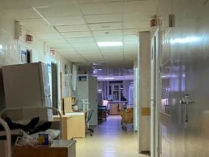 Сердце - всему голова