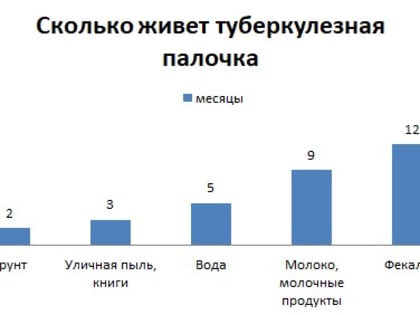 Не буди Коха