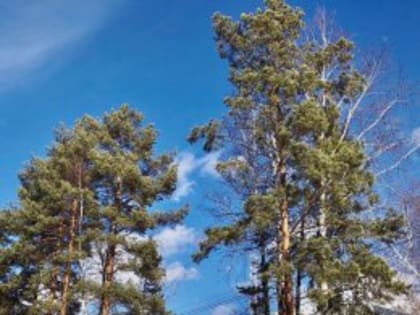 Отдых с пользой для здоровья