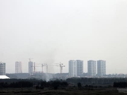 Причиной едкого смога в Екатеринбурге мог стать торфяной пожар на берегу Исети