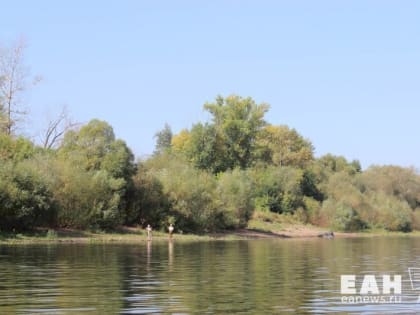 В начале недели температура в Свердловской области поднимется до +26