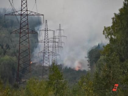 Евгений Куйвашев возложил ответственность за лесные пожары на свердловских мэров