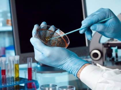 Аскаридоз – один из самых распространенных гельминтозов человека!