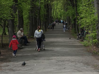 Госэкспертиза одобрила благоустройство летнего парка «Уралмаш»