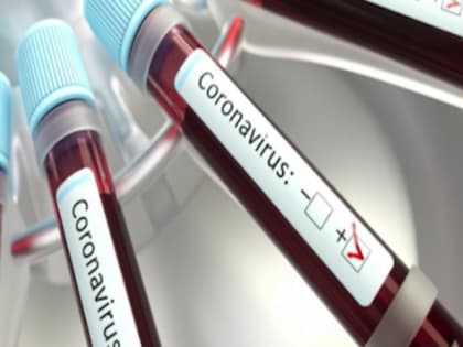 Количество заболевших коронавирусом продолжает увеличиваться