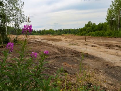 В этой шали я с ним повстречалась: губернатор распорядился построить в Шале газовый терминал