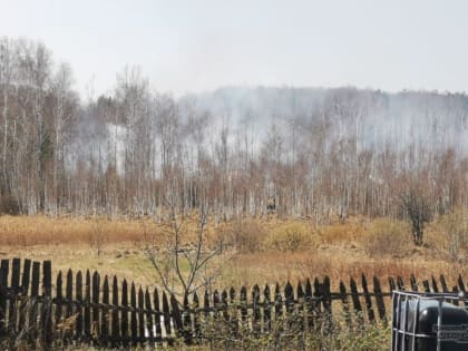 На территории Свердловской области горит 55 тысяч га леса