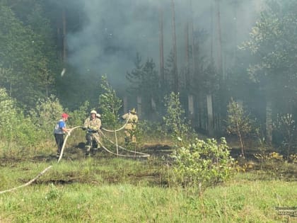 Собранные по призыву властей Берёзовского волонтёры разъехались по лесным пожарам