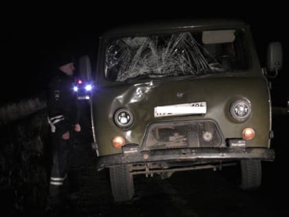 Под Каменском-Уральским в ДТП погиб пешеход