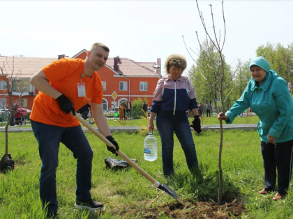 Ясенями город будет красен